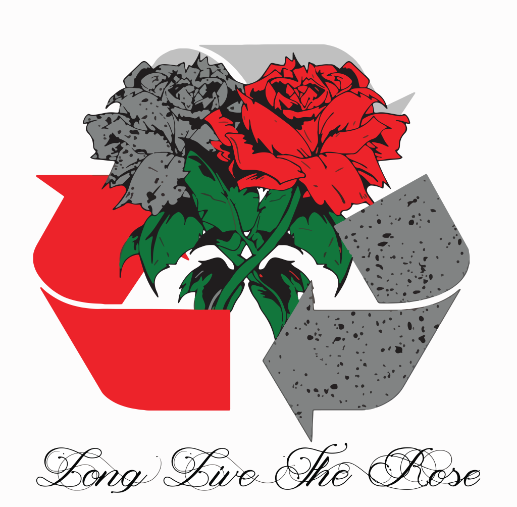 anotherrose